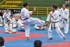 AdJ_Seminario-Internacional-Saiko-Shihan-Yamaguchi-Goshi_061