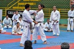 AdJ_Seminario-Internacional-Saiko-Shihan-Yamaguchi-Goshi_062