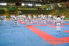 AdJ_Seminario-Internacional-Saiko-Shihan-Yamaguchi-Goshi_068