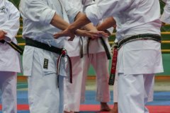 AdJ_Seminario-Internacional-Saiko-Shihan-Yamaguchi-Goshi_074