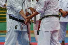 AdJ_Seminario-Internacional-Saiko-Shihan-Yamaguchi-Goshi_075