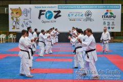 AdJ_Seminario-Internacional-Saiko-Shihan-Yamaguchi-Goshi_079