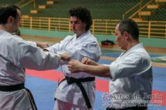 AdJ_Seminario-Internacional-Saiko-Shihan-Yamaguchi-Goshi_085