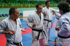 AdJ_Seminario-Internacional-Saiko-Shihan-Yamaguchi-Goshi_086