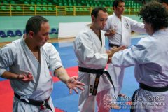 AdJ_Seminario-Internacional-Saiko-Shihan-Yamaguchi-Goshi_087