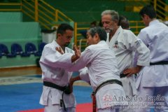 AdJ_Seminario-Internacional-Saiko-Shihan-Yamaguchi-Goshi_089