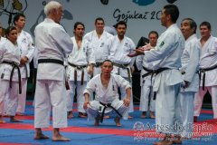 AdJ_Seminario-Internacional-Saiko-Shihan-Yamaguchi-Goshi_090