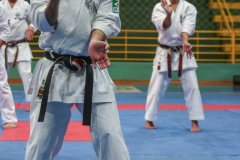 AdJ_Seminario-Internacional-Saiko-Shihan-Yamaguchi-Goshi_091