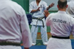 AdJ_Seminario-Internacional-Saiko-Shihan-Yamaguchi-Goshi_092