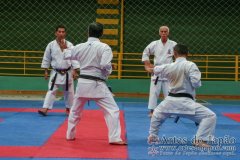 AdJ_Seminario-Internacional-Saiko-Shihan-Yamaguchi-Goshi_093