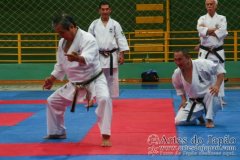 AdJ_Seminario-Internacional-Saiko-Shihan-Yamaguchi-Goshi_095