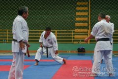 AdJ_Seminario-Internacional-Saiko-Shihan-Yamaguchi-Goshi_096