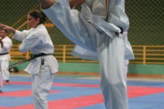 AdJ_Seminario-Internacional-Saiko-Shihan-Yamaguchi-Goshi_098