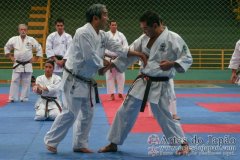 AdJ_Seminario-Internacional-Saiko-Shihan-Yamaguchi-Goshi_100