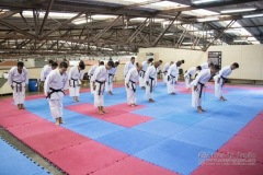 Seminário de Kata Goju-ryu e Shotokan