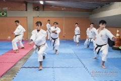 Seminário de Kata Gojuryu e Shotokan