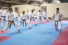 Seminário de Kata Gojuryu e Shotokan