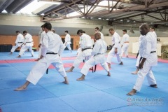 Seminário de Kata Gojuryu e Shotokan