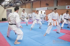 Seminário de Kata Gojuryu e Shotokan