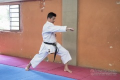 Seminário de Kata Gojuryu e Shotokan