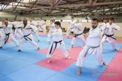 Seminário de Kata Gojuryu e Shotokan