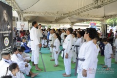 7º ToSa Matsuri - Dia 2