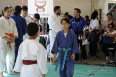 7º ToSa Matsuri - Dia 2