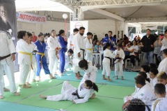 7º ToSa Matsuri - Dia 2