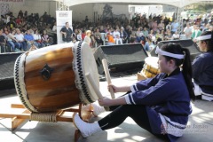 7º ToSa Matsuri - Dia 2