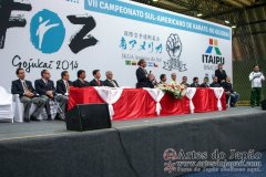 AdJ_VII-Campeonato-SulAmericano-GojuKai-Dia1_002