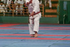 AdJ_VII-Campeonato-SulAmericano-GojuKai-Dia1_022