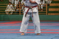 AdJ_VII-Campeonato-SulAmericano-GojuKai-Dia1_026