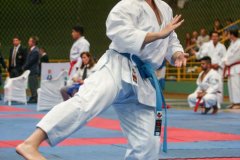 AdJ_VII-Campeonato-SulAmericano-GojuKai-Dia1_032