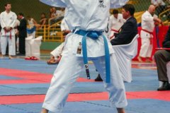 AdJ_VII-Campeonato-SulAmericano-GojuKai-Dia1_035