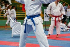 AdJ_VII-Campeonato-SulAmericano-GojuKai-Dia1_038