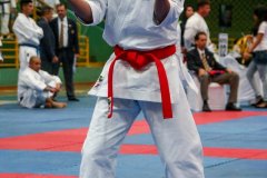 AdJ_VII-Campeonato-SulAmericano-GojuKai-Dia1_040