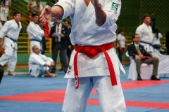 AdJ_VII-Campeonato-SulAmericano-GojuKai-Dia1_041