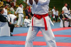 AdJ_VII-Campeonato-SulAmericano-GojuKai-Dia1_042