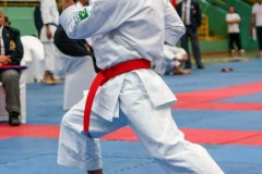 AdJ_VII-Campeonato-SulAmericano-GojuKai-Dia1_043