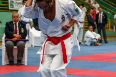 AdJ_VII-Campeonato-SulAmericano-GojuKai-Dia1_044