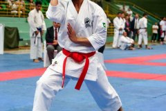 AdJ_VII-Campeonato-SulAmericano-GojuKai-Dia1_046