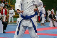 AdJ_VII-Campeonato-SulAmericano-GojuKai-Dia1_047