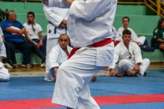 AdJ_VII-Campeonato-SulAmericano-GojuKai-Dia1_049