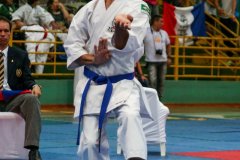 AdJ_VII-Campeonato-SulAmericano-GojuKai-Dia1_051