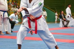 AdJ_VII-Campeonato-SulAmericano-GojuKai-Dia1_053