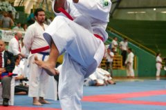 AdJ_VII-Campeonato-SulAmericano-GojuKai-Dia1_054