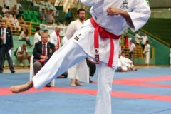 AdJ_VII-Campeonato-SulAmericano-GojuKai-Dia1_055