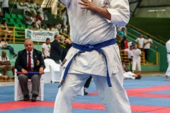 AdJ_VII-Campeonato-SulAmericano-GojuKai-Dia1_057