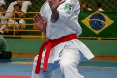 AdJ_VII-Campeonato-SulAmericano-GojuKai-Dia1_058