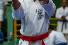 AdJ_VII-Campeonato-SulAmericano-GojuKai-Dia1_067